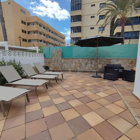 Splendid Next To Dunes