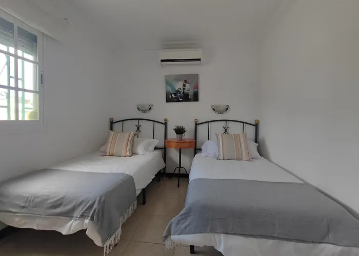 Splendid Next To Dunes *